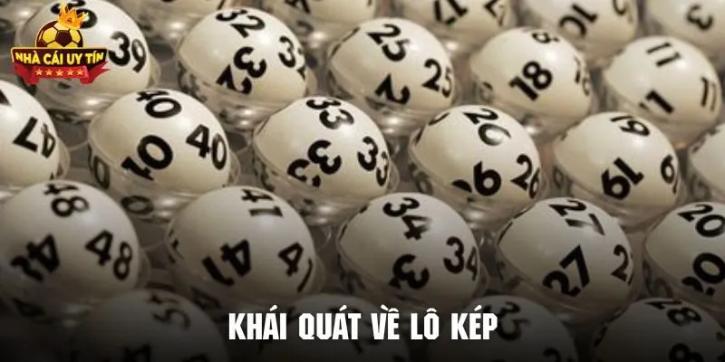 Hướng Dẫn Soi Cầu Lô Kép Chuẩn Từ A Đến Z Cho Tân Binh